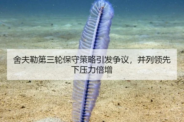 舍夫勒第三轮保守策略引发争议，并列领先下压力倍增