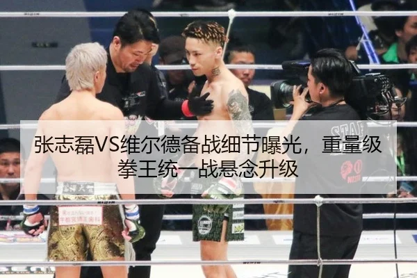 张志磊VS维尔德备战细节曝光，重量级拳王统一战悬念升级