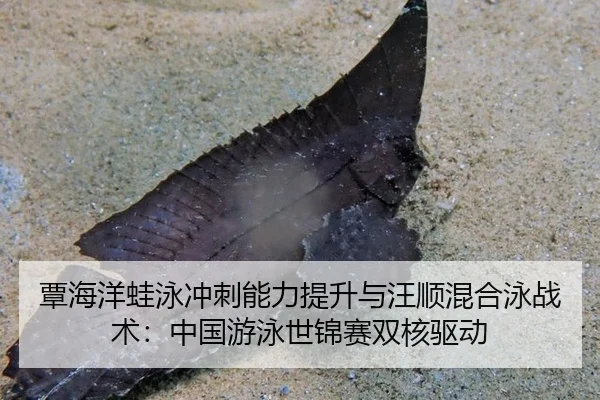 覃海洋蛙泳冲刺能力提升与汪顺混合泳战术：中国游泳世锦赛双核驱动